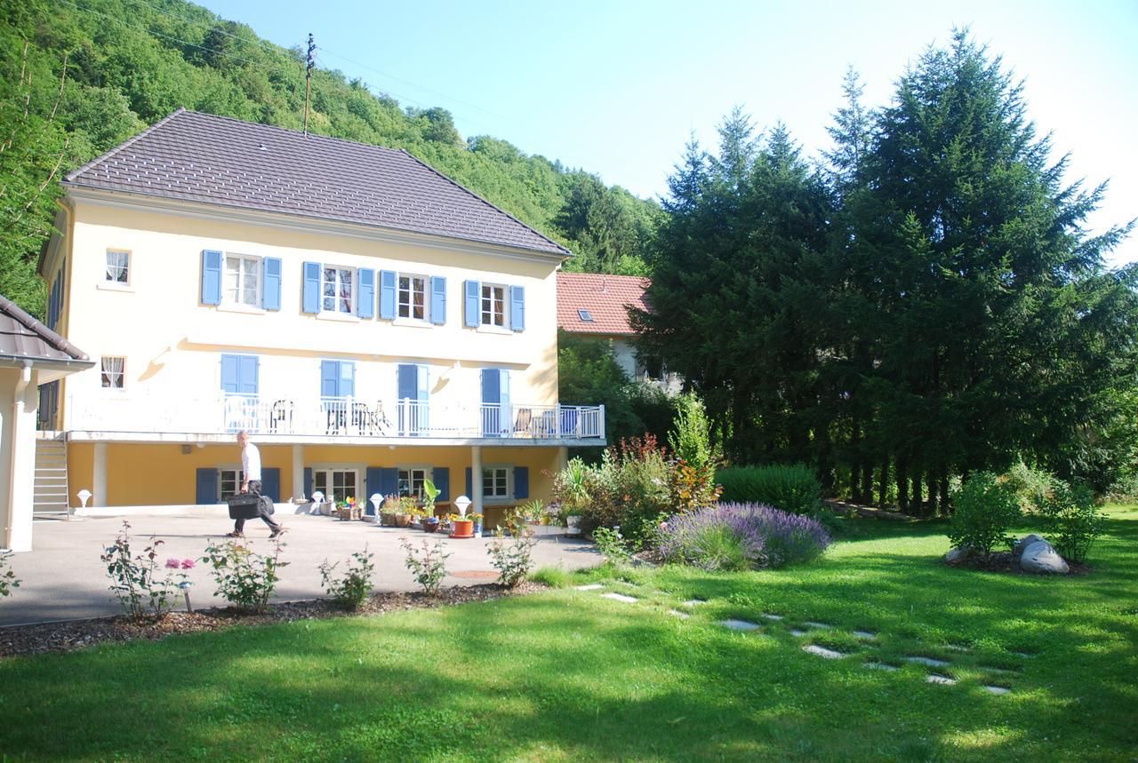 Les Volets Bleus Alsace Vosges Panzió Urbès Szoba fotó