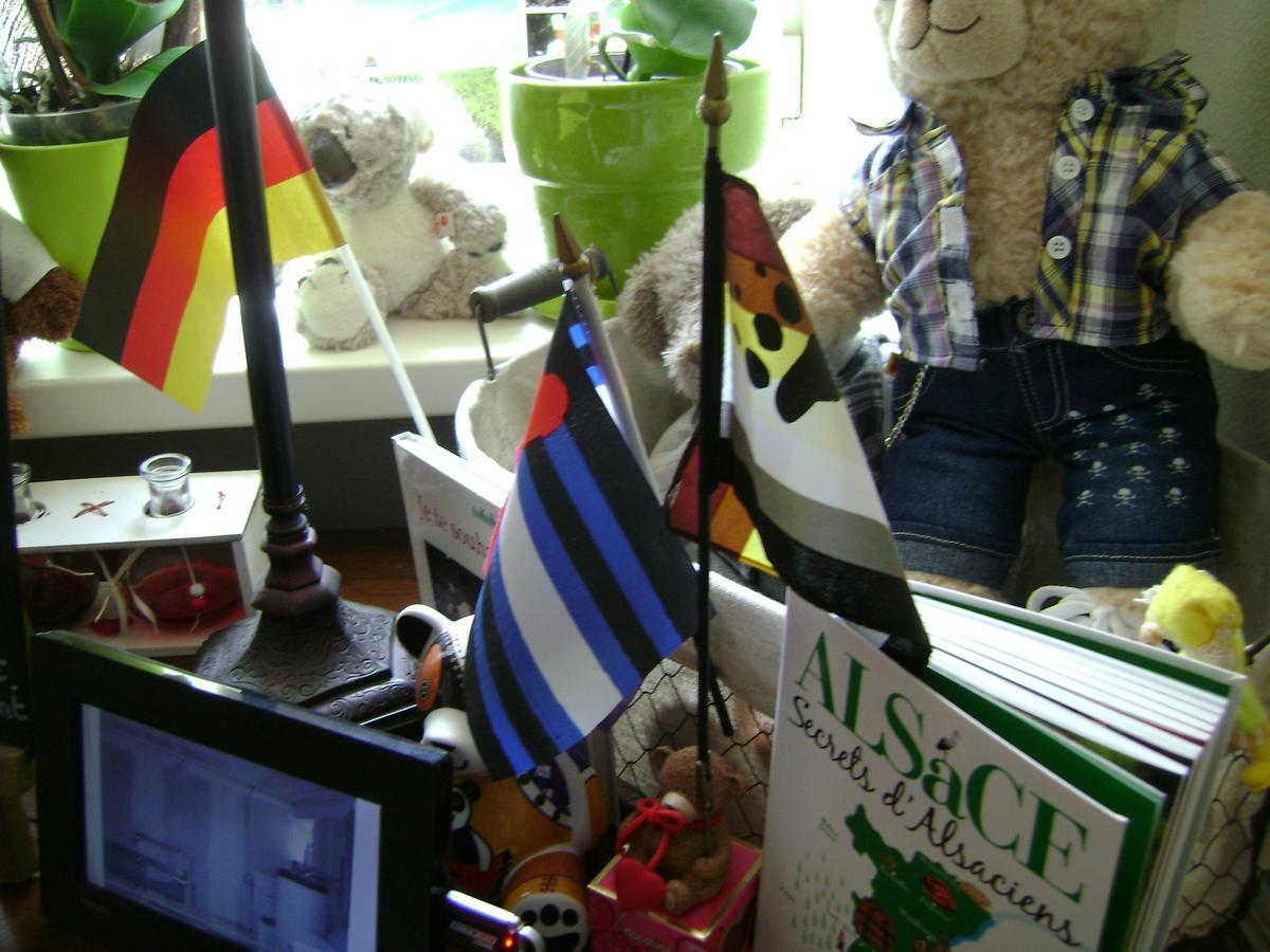 Les Volets Bleus Alsace Vosges Panzió Urbès Szoba fotó
