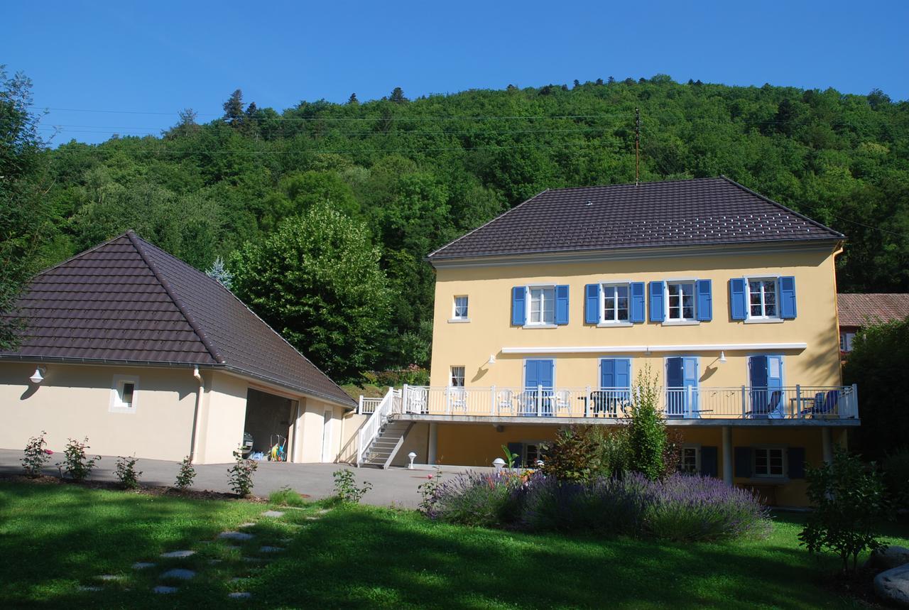 Les Volets Bleus Alsace Vosges Panzió Urbès Kültér fotó
